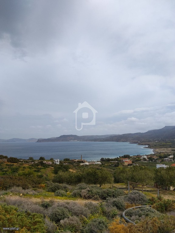 Οικόπεδο 16.688 τ.μ. προς πώληση, Τρυπητός