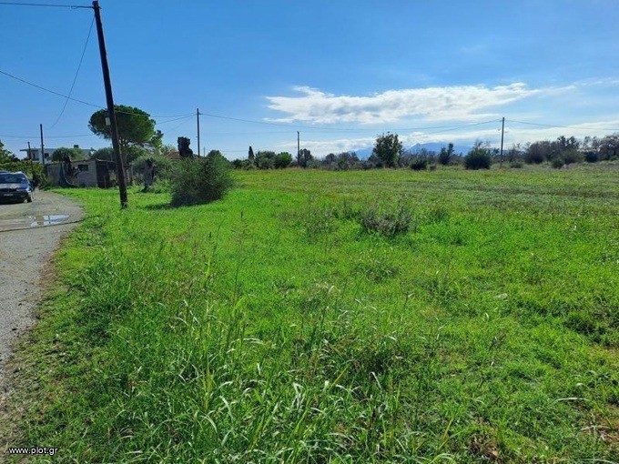 Αγροτεμάχια 3.485 τ.μ. προς πώληση, Αγκάλη Νηλέως