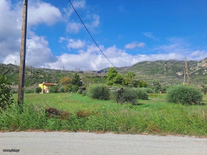 Αγροτεμάχια 3.485 τ.μ. προς πώληση, Αγκάλη Νηλέως