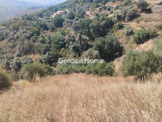 Αγροτεμάχια 1.000 τ.μ. για πώληση