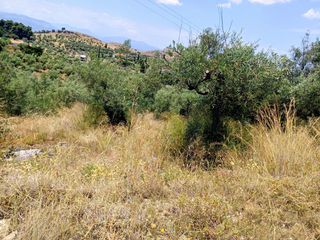 Οικόπεδο 9.500 τ.μ. για πώληση, Αργολίδα, Ναύπλιο-thumb-1
