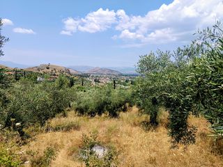 Οικόπεδο 9.500 τ.μ. για πώληση, Αργολίδα, Ναύπλιο-thumb-2