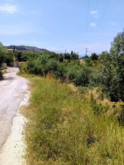 Οικόπεδο 9.500 τ.μ. για πώληση, Αργολίδα, Ναύπλιο-thumb-3