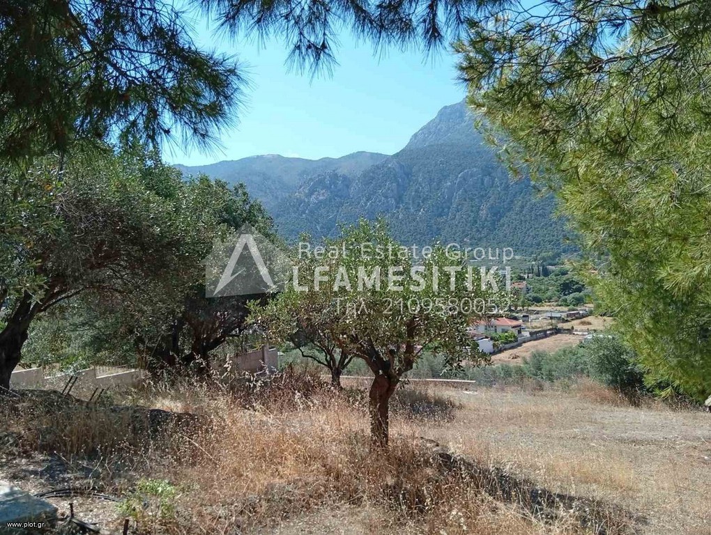 Οικόπεδο 1.000 τ.μ. προς πώληση, Σχίνος Λουτρακίου-Περαχώρας