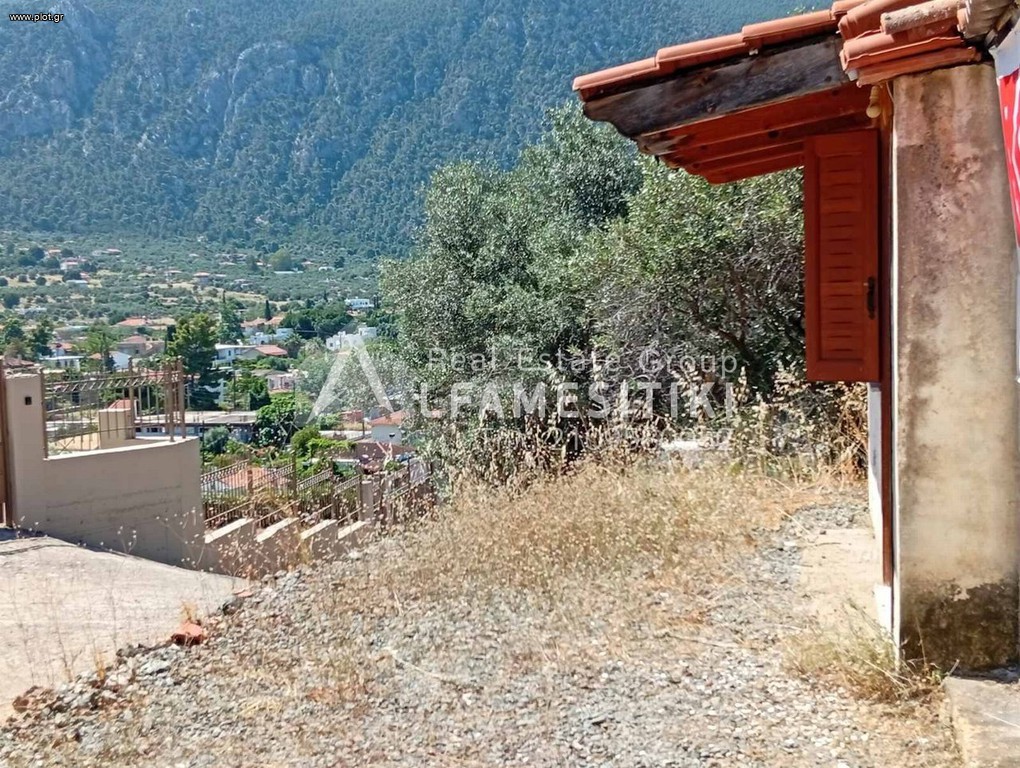 Οικόπεδο 1.000 τ.μ. προς πώληση, Σχίνος Λουτρακίου-Περαχώρας