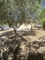 Μονοκατοικία 75 τ.μ. προς πώληση, Απολλώνιο-thumb-17