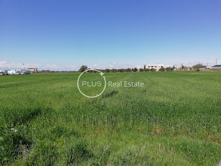Αγροτεμάχια 15.300 τ.μ. για πώληση