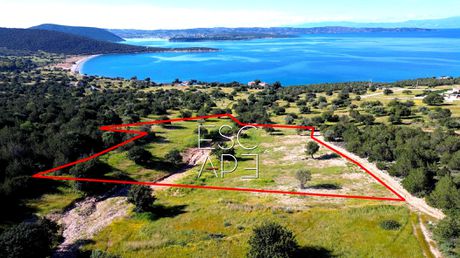 Οικόπεδο 6.250 τ.μ. πρός πώληση