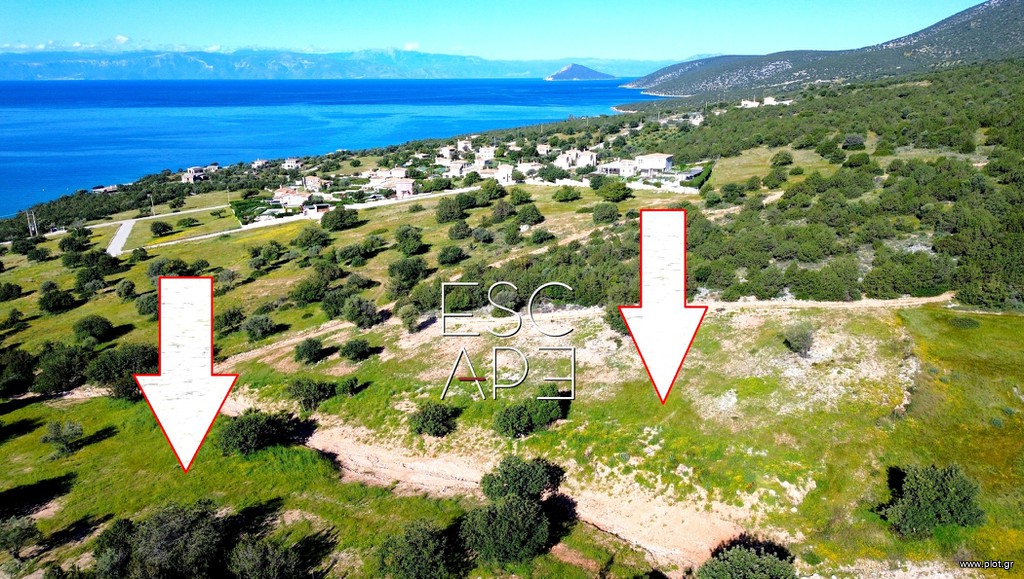 Οικόπεδο 6.250 τ.μ. πρός πώληση, Αργολίδα, Κρανίδι