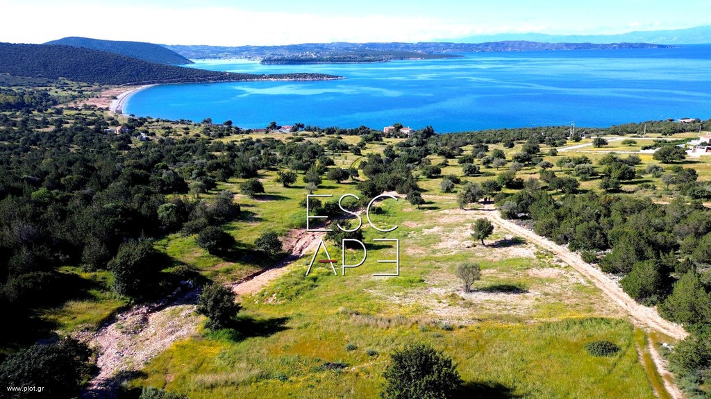 Οικόπεδο 6.250 τ.μ. πρός πώληση, Αργολίδα, Κρανίδι