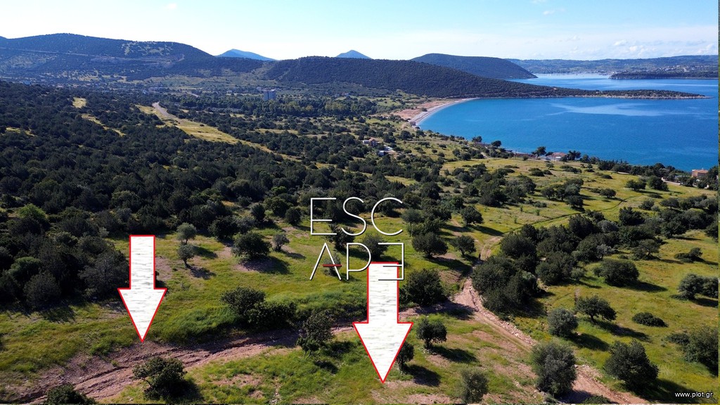 Οικόπεδο 6.250 τ.μ. πρός πώληση, Αργολίδα, Κρανίδι