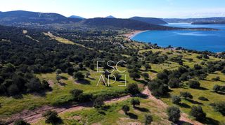 Οικόπεδο 6.250 τ.μ. πρός πώληση, Αργολίδα, Κρανίδι-thumb-6
