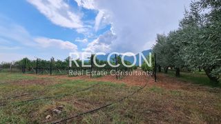 Αγροτεμάχια 7.750 τ.μ. για πώληση, Ν. Δράμας, Προσοτσάνη-thumb-8