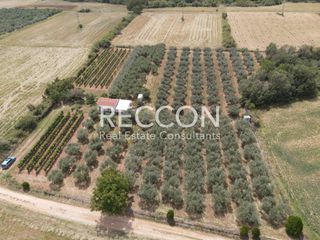 Αγροτεμάχια 7.750 τ.μ. για πώληση, Ν. Δράμας, Προσοτσάνη-thumb-4
