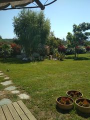 Αγροτεμάχια 1.350 τ.μ. για πώληση, Ν. Καβάλας, Ελευθερές-thumb-11