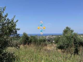 Οικόπεδο 1.447 τ.μ. για πώληση