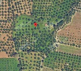 Αγροτεμάχια 6.454 τ.μ. για πώληση, Μεσσηνία, Μεθώνη-thumb-2