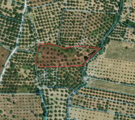 Αγροτεμάχια 6.454 τ.μ. για πώληση