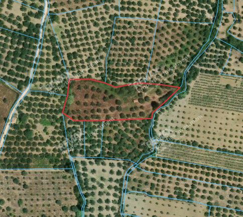 Αγροτεμάχια 6.454 τ.μ. για πώληση, Μεσσηνία, Μεθώνη