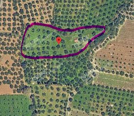 Αγροτεμάχια 6.454 τ.μ. για πώληση, Μεσσηνία, Μεθώνη-thumb-3