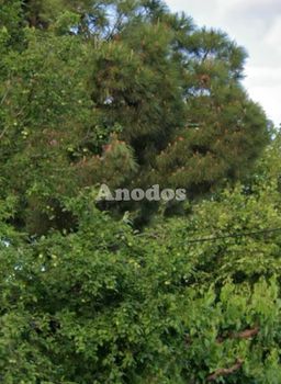 Air 170 sqm for sale