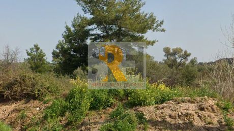 Land plot 264 sqm for sale