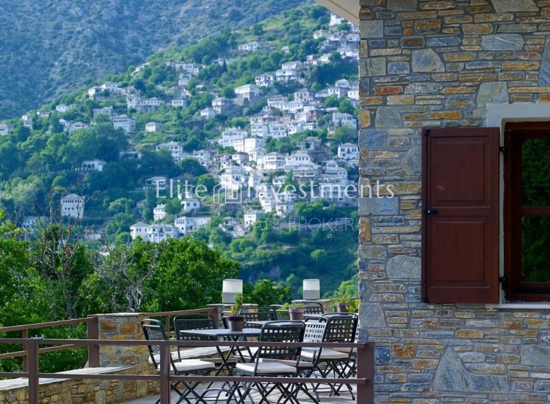 Ξενοδοχείο 1.520 τ.μ. πρός πώληση, Μαγνησία, Πορταριά