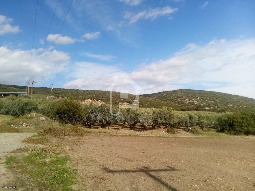 Αγροτεμάχια 30.000 τ.μ. πρός πώληση, Μαγνησία, Νέα Αγχίαλος
