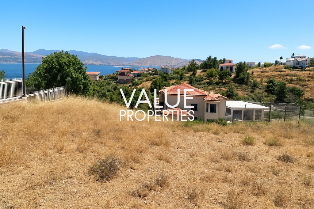 Οικόπεδο 1.380 τ.μ. πρός πώληση, Εύβοια, Ανθηδώνος