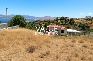 Οικόπεδο 1.380 τ.μ. για πώληση, Εύβοια, Ανθηδώνος-thumb-3