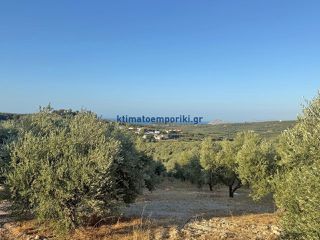 Οικόπεδο 2.600 τ.μ. για πώληση