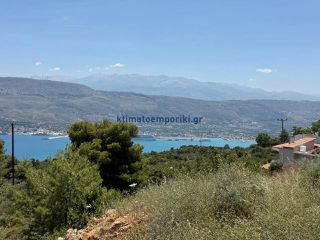 Οικόπεδο 4.018 τ.μ. για πώληση