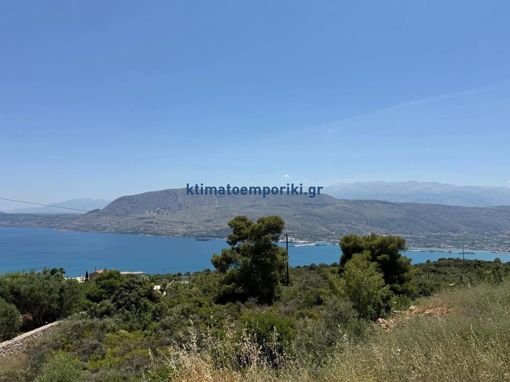 Οικόπεδο 4.018 τ.μ. προς πώληση, Πιθάρι