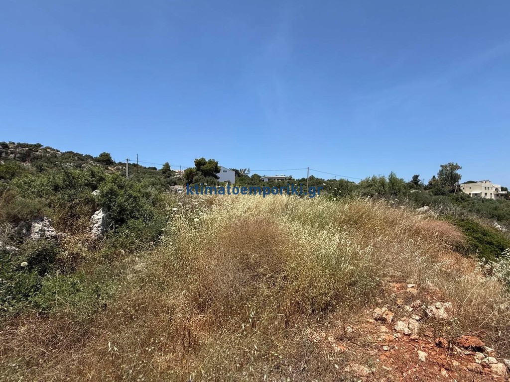 Οικόπεδο 4.018 τ.μ. προς πώληση, Πιθάρι