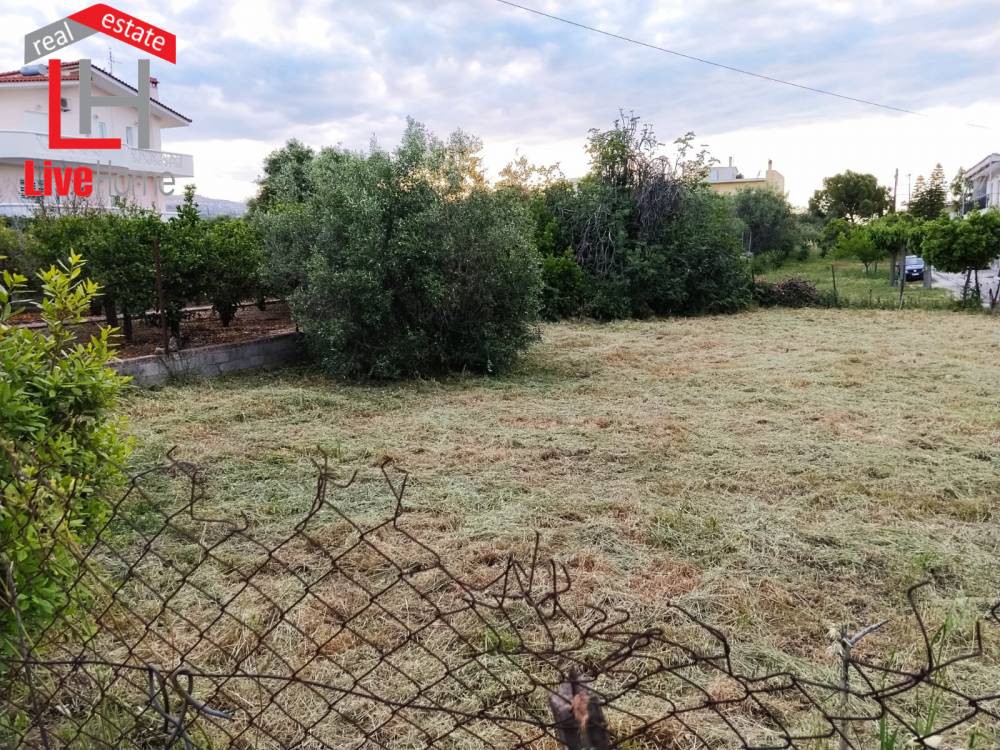 Οικόπεδο 334 τ.μ. πρός πώληση, Κορινθία, Σικυώνα