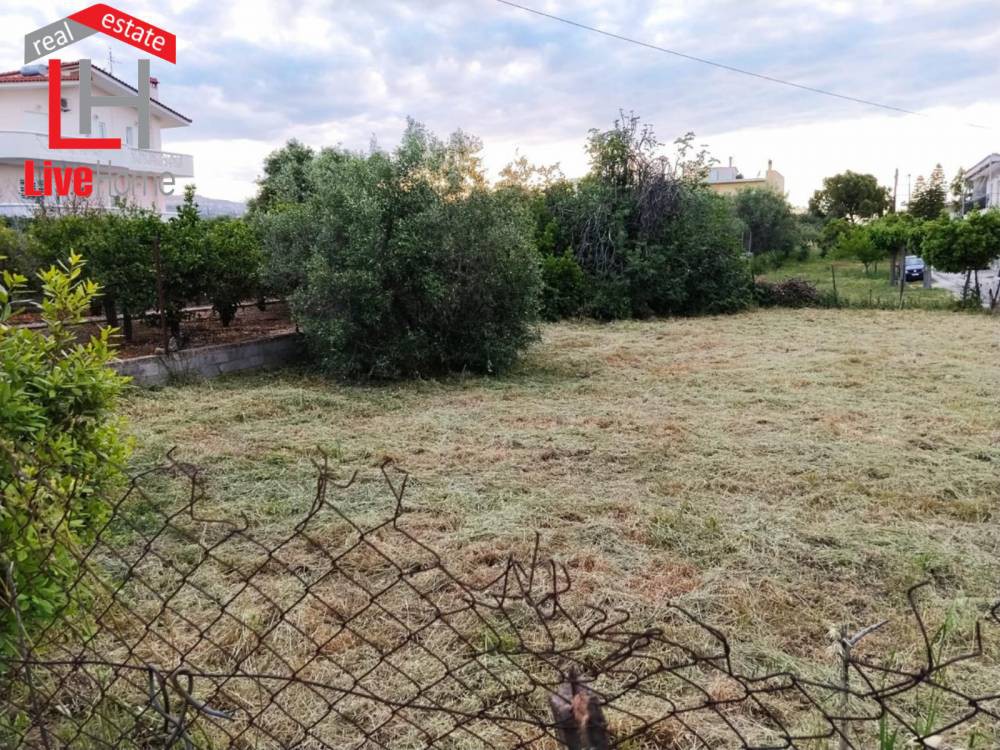 Οικόπεδο 334 τ.μ. πρός πώληση, Κορινθία, Σικυώνα