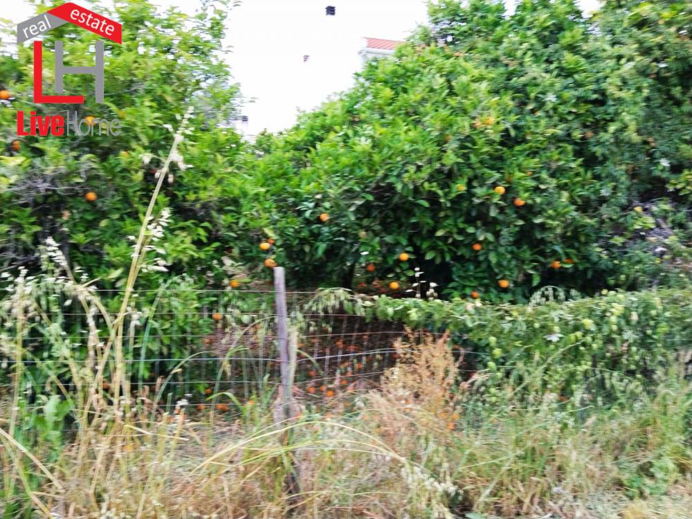 Οικόπεδο 420 τ.μ. πρός πώληση, Κορινθία, Σικυώνα