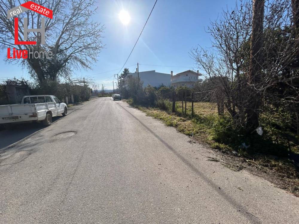 Οικόπεδο 420 τ.μ. πρός πώληση, Κορινθία, Σικυώνα