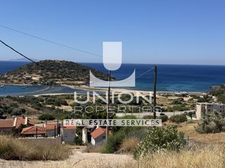 Αγροτεμάχια 2.000 τ.μ. για πώληση