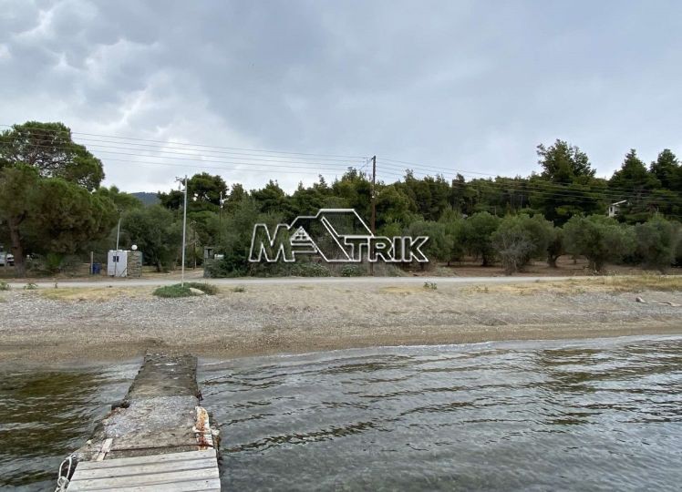 Αγροτεμάχια 11.056 τ.μ. προς πώληση, Νέος Μαρμαράς