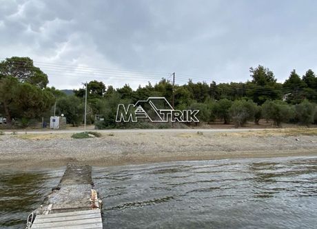 Αγροτεμάχια 11.056 τ.μ. προς πώληση