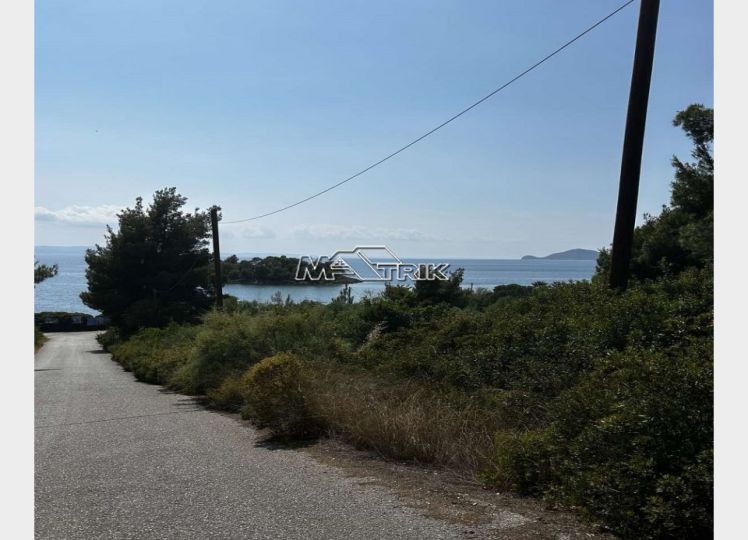 Αγροτεμάχια 11.056 τ.μ. προς πώληση, Νέος Μαρμαράς