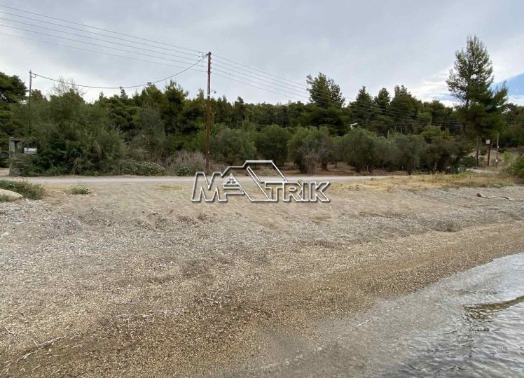 Αγροτεμάχια 11.056 τ.μ. προς πώληση, Νέος Μαρμαράς