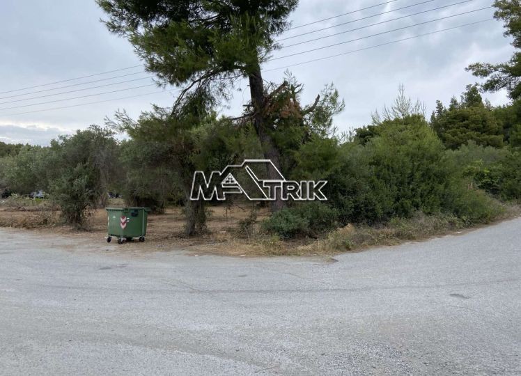 Αγροτεμάχια 11.056 τ.μ. προς πώληση, Νέος Μαρμαράς