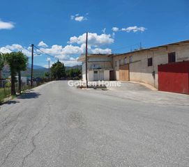 Βιομηχανικός χώρος 132 τ.μ. για ενοικίαση, Αργολίδα, Λέρνα-thumb-4