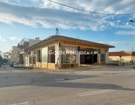 Κατάστημα 450 τ.μ. για ενοικίαση, Αργολίδα, Άργος