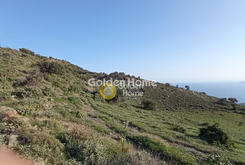 Οικόπεδο 121.694 τ.μ. πρός πώληση, Ν. Ρεθύμνου, Λάμπη