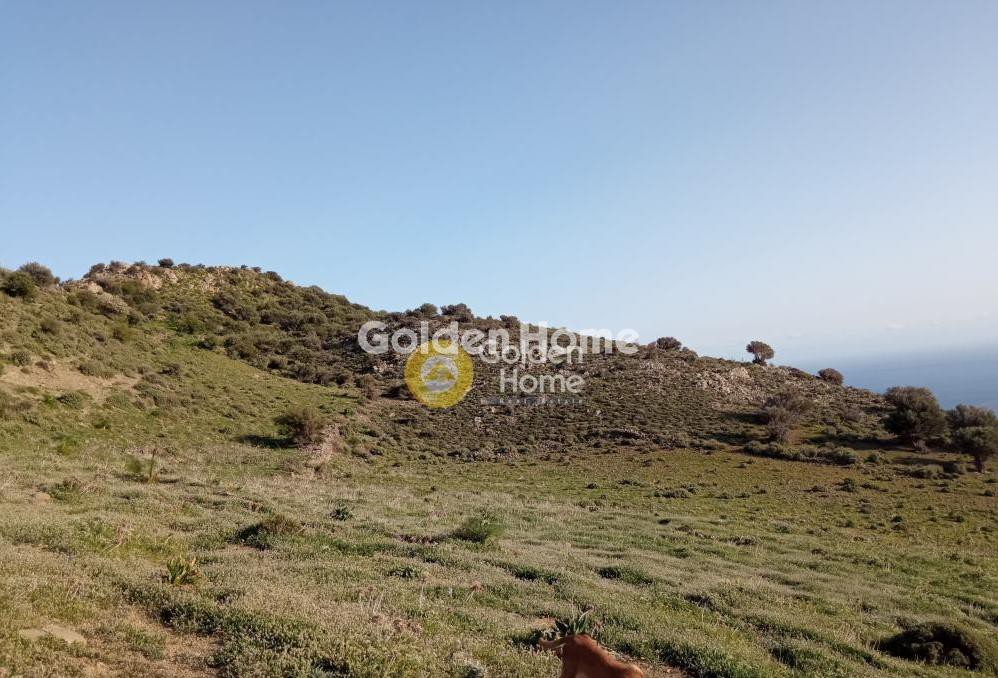 Οικόπεδο 121.694 τ.μ. πρός πώληση, Ν. Ρεθύμνου, Λάμπη