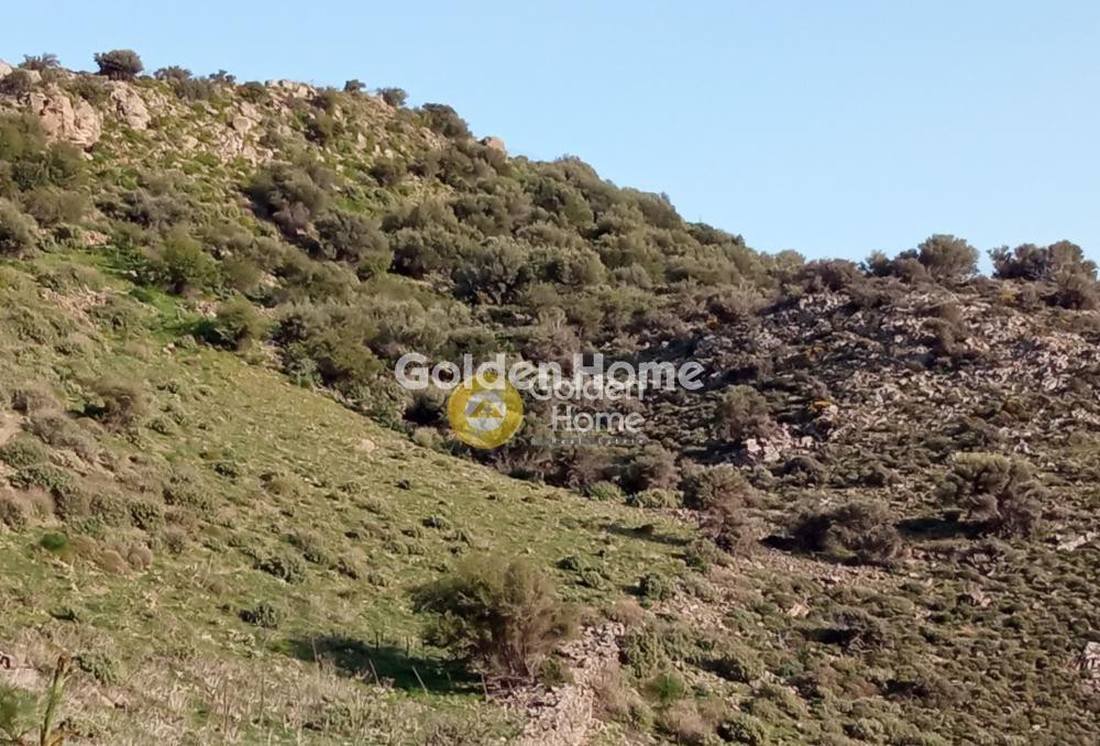 Οικόπεδο 121.694 τ.μ. πρός πώληση, Ν. Ρεθύμνου, Λάμπη