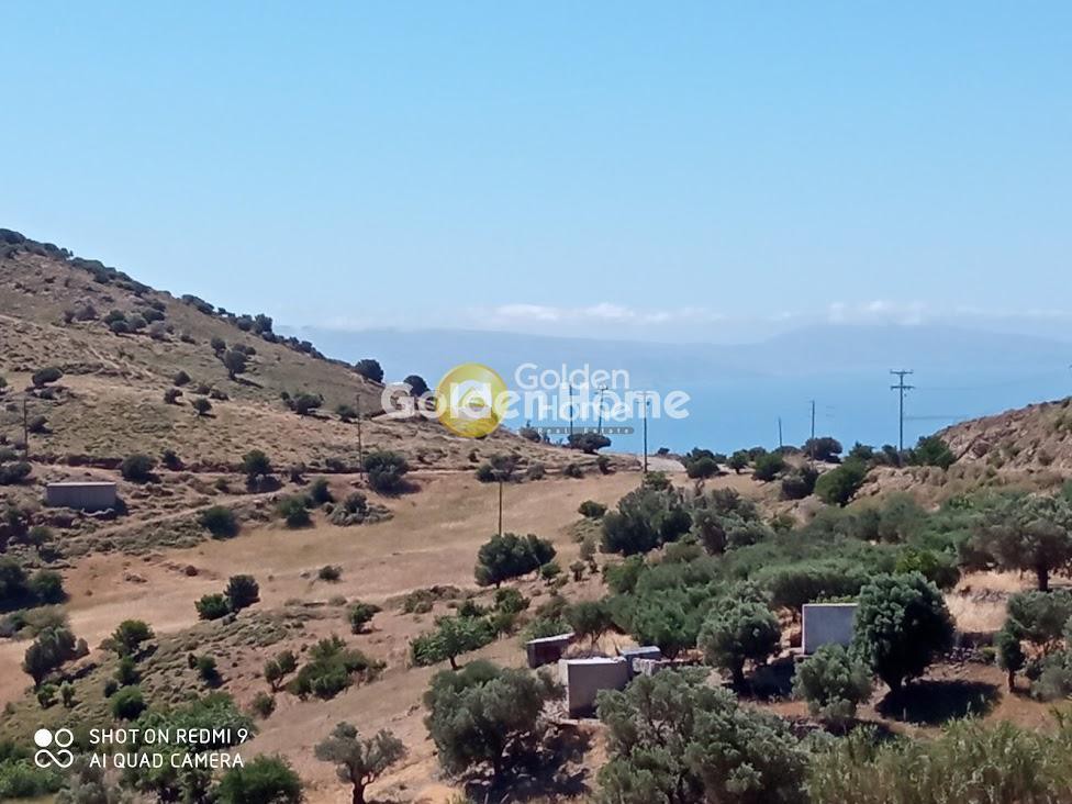 Οικόπεδο 121.694 τ.μ. πρός πώληση, Ν. Ρεθύμνου, Λάμπη